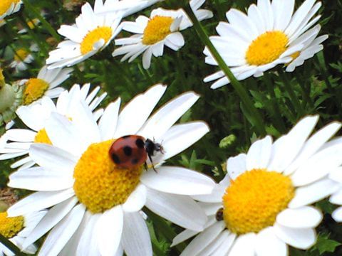 210517_01.jpg