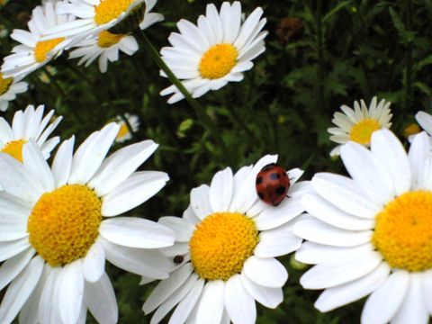 210517_02.jpg