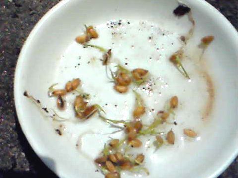 210529_02.jpg