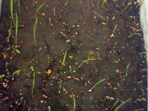210608_02.jpg