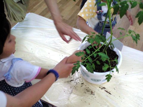 210620_01.jpg
