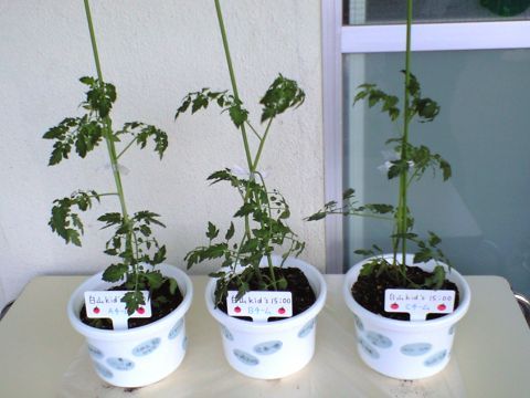 210620_04.jpg