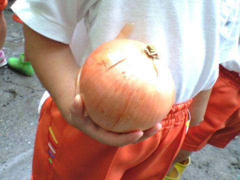 210706_01.jpg