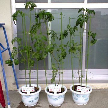 210710_03.jpg