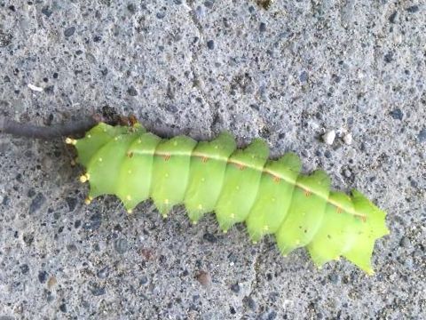 210717_01.jpg
