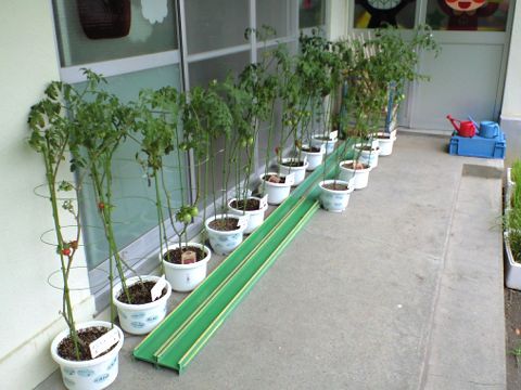 210723_11.jpg