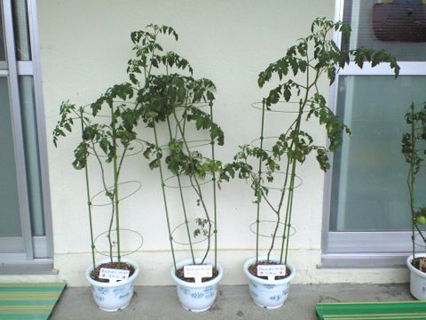 210723_21.jpg