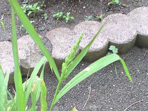 210724_01.jpg