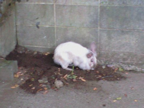 211105_01.jpg