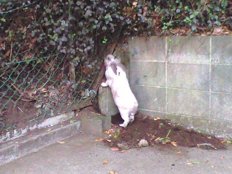 211105_02.jpg