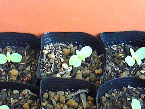 220604_01.jpg