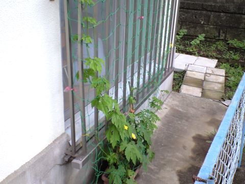 220704_01.jpg