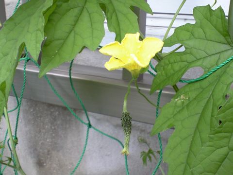 220704_02.jpg