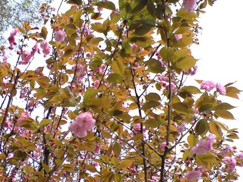 230418_11.jpg
