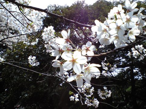 240412_02.jpg
