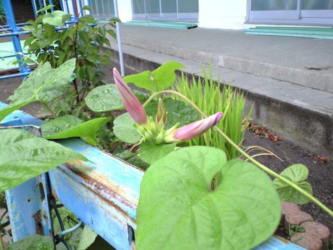 240808_02.jpg