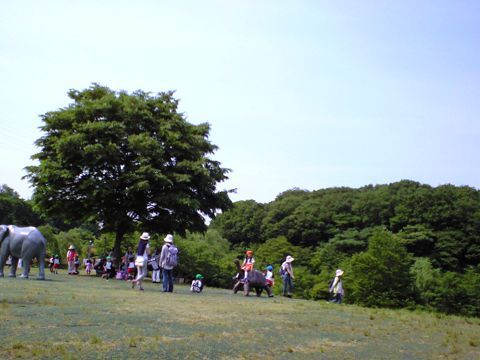 260520_01.jpg