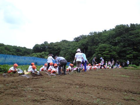 270616_01.jpg