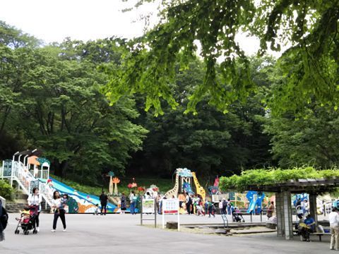 310524_01.jpg