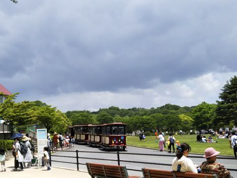 310524_02.jpg