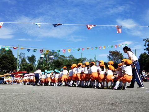 311101_01.jpg